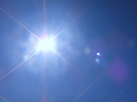 窓専門店が選ぶ『夏の暑さ対策ランキング』
