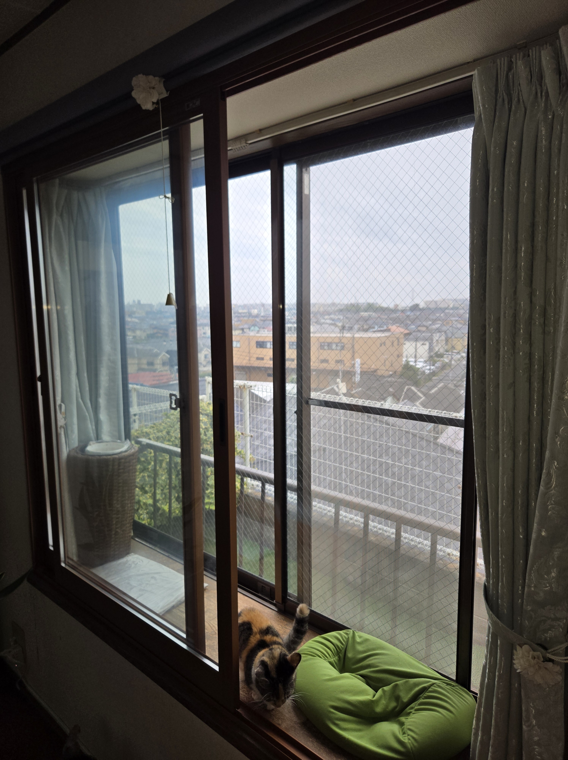 想像以上の快適さが、家に戻ってきた。